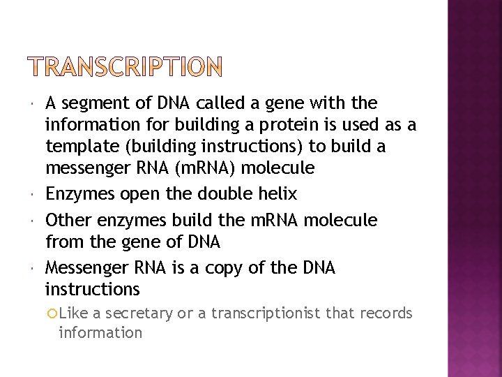  A segment of DNA called a gene with the information for building a