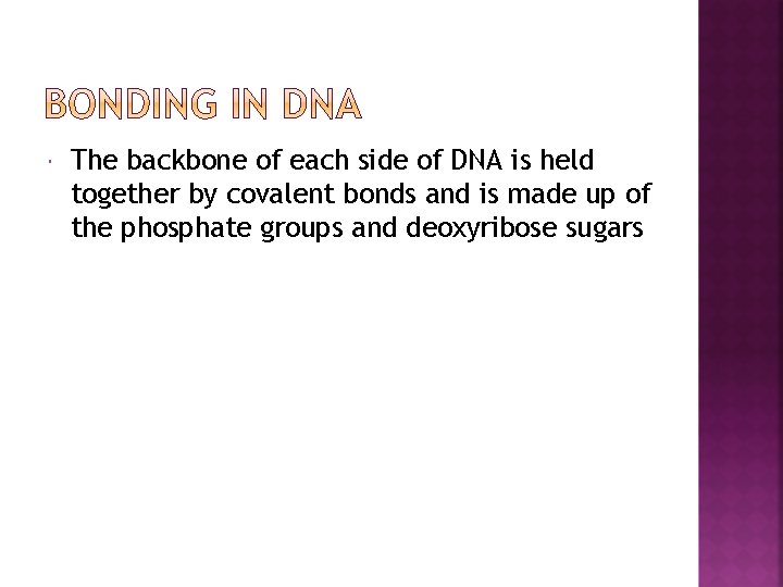  The backbone of each side of DNA is held together by covalent bonds