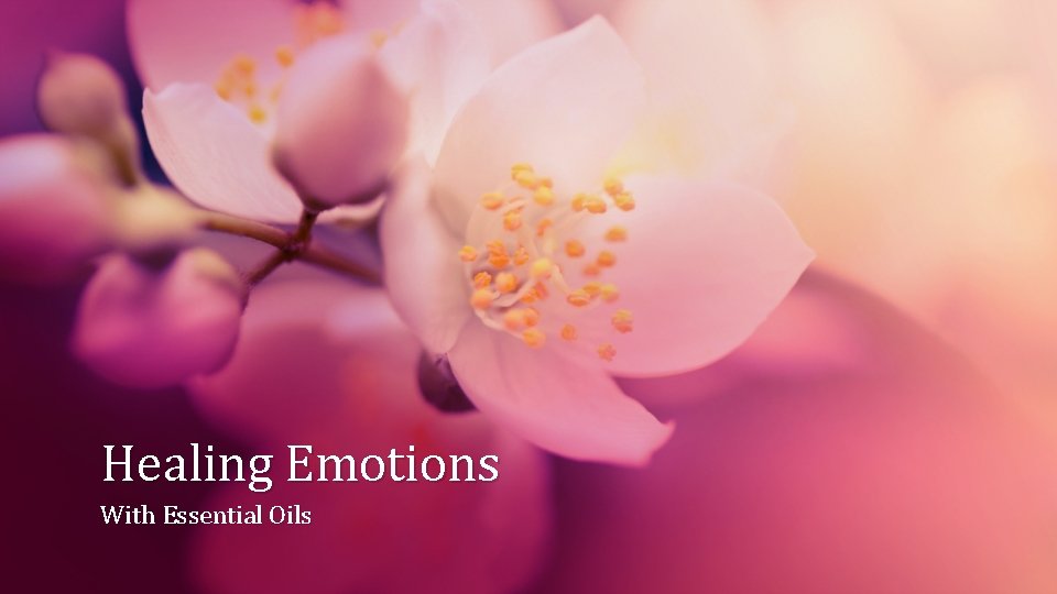 Healing Emotions With Essential Oils 