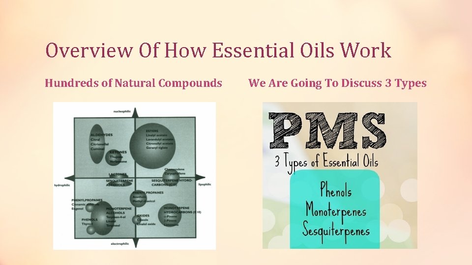 Overview Of How Essential Oils Work Hundreds of Natural Compounds We Are Going To