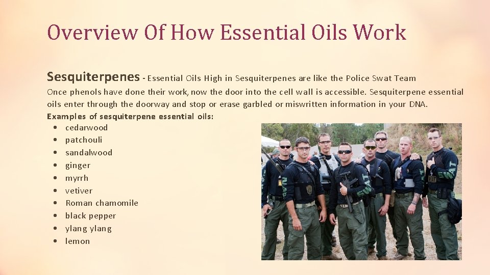 Overview Of How Essential Oils Work Sesquiterpenes - Essential Oils High in Sesquiterpenes are
