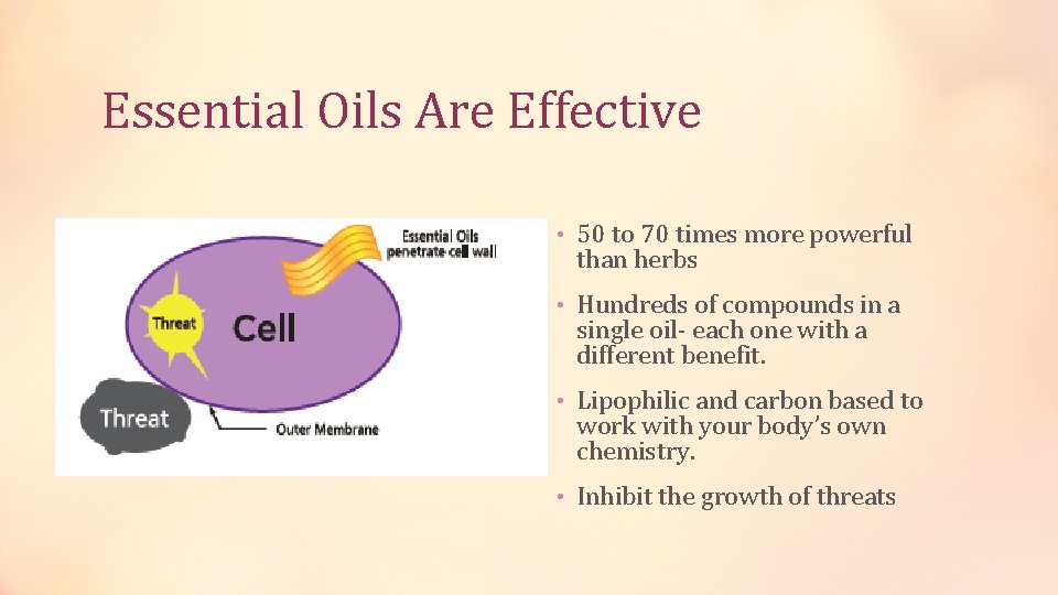 Essential Oils Are Effective • 50 to 70 times more powerful than herbs •