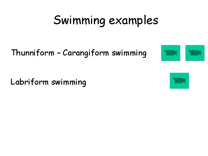 Swimming examples Thunniform – Carangiform swimming Labriform swimming 