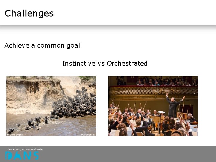 Challenges Achieve a common goal Instinctive vs Orchestrated 