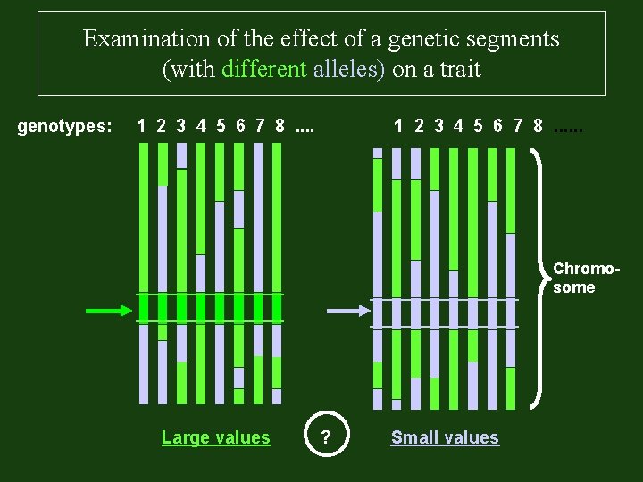  Examination of the effect of a genetic segments (with different alleles) on a
