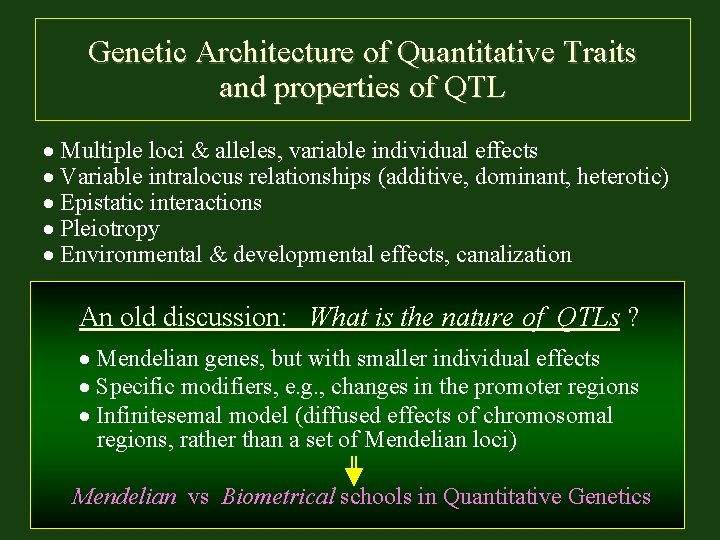 Genetic Architecture of Quantitative Traits and properties of QTL Multiple loci & alleles, variable