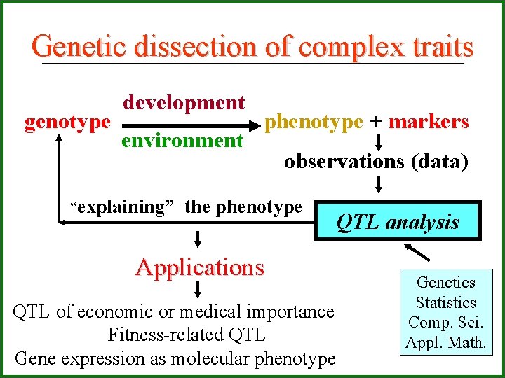 Genetic dissection of complex traits development genotype phenotype + markers environment observations (data) “explaining”