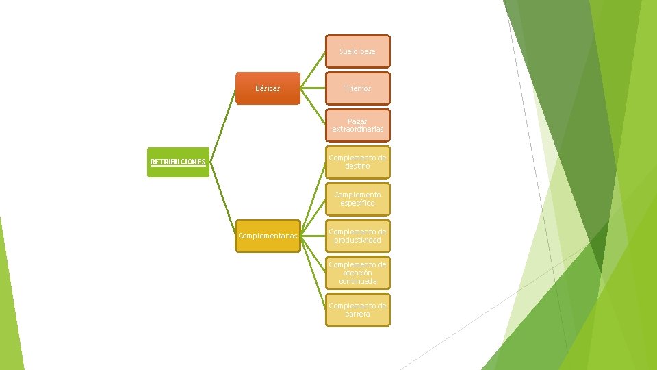 Suelo base Básicas Trienios Pagas extraordinarias Complemento de destino RETRIBUCIONES Complemento específico Complementarias Complemento Suelo base Básicas Trienios Pagas extraordinarias Complemento de destino RETRIBUCIONES Complemento específico Complementarias Complemento