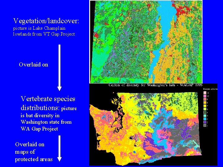 Vegetation/landcover: picture is Lake Champlain lowlands from VT Gap Project Overlaid on Vertebrate species