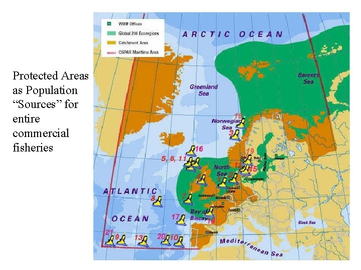 Protected Areas as Population “Sources” for entire commercial fisheries 