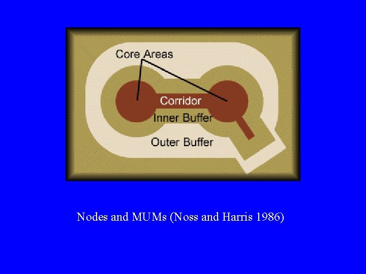 Nodes and MUMs (Noss and Harris 1986) 