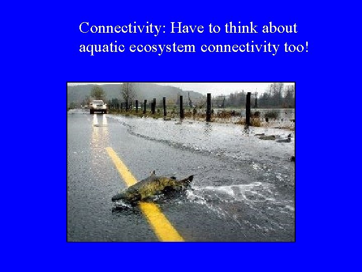 Connectivity: Have to think about aquatic ecosystem connectivity too! 