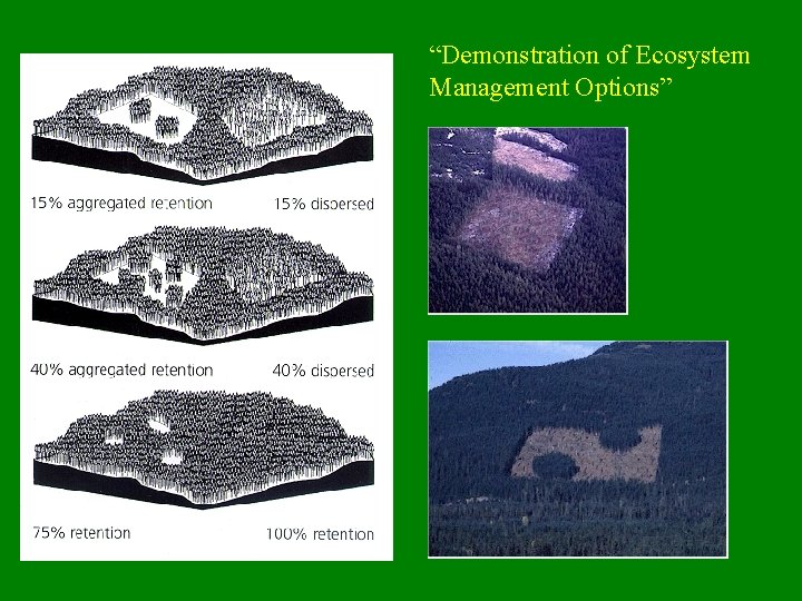 “Demonstration of Ecosystem Management Options” 