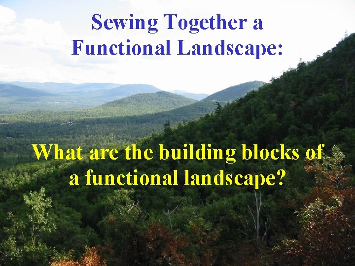Sewing Together a Functional Landscape: What are the building blocks of a functional landscape?