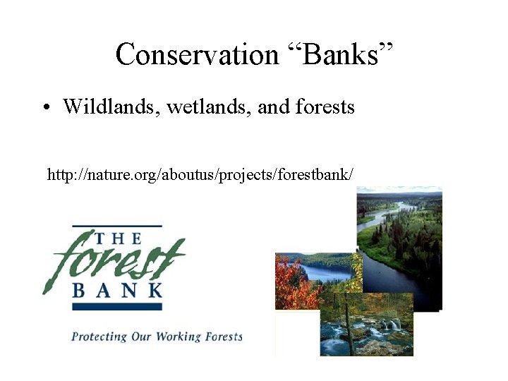 Conservation “Banks” • Wildlands, wetlands, and forests http: //nature. org/aboutus/projects/forestbank/ 