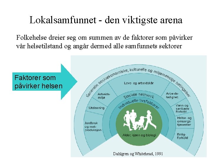 Lokalsamfunnet - den viktigste arena Folkehelse dreier seg om summen av de faktorer som