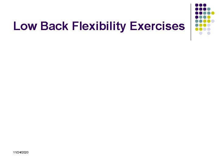 Low Back Flexibility Exercises 11/24/2020 