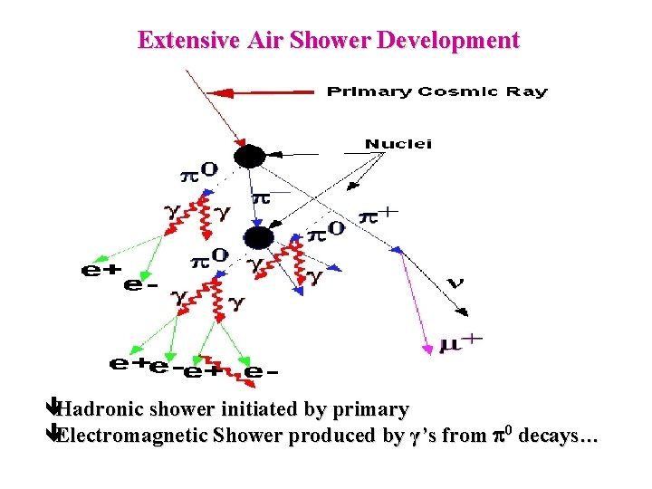 Extensive Air Shower Development êHadronic shower initiated by primary êElectromagnetic Shower produced by γ’s