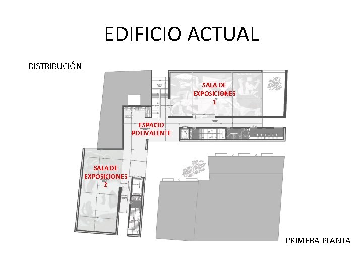 EDIFICIO ACTUAL DISTRIBUCIÓN SALA DE EXPOSICIONES 1 ESPACIO POLIVALENTE SALA DE EXPOSICIONES 2 PRIMERA