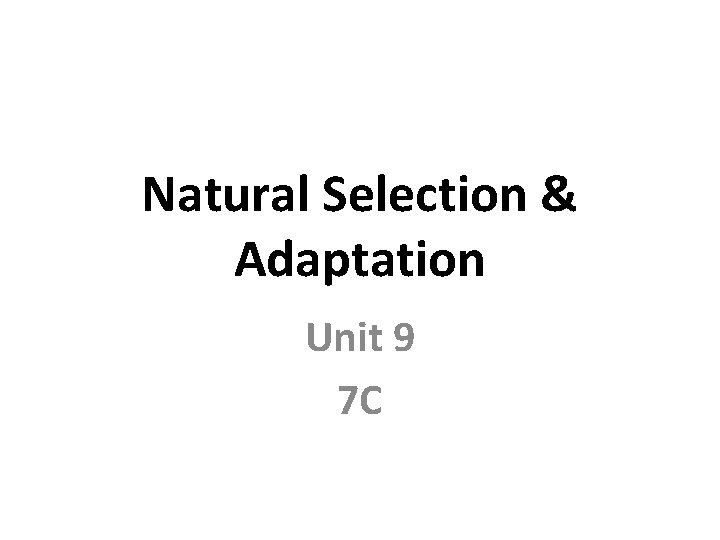Natural Selection & Adaptation Unit 9 7 C 