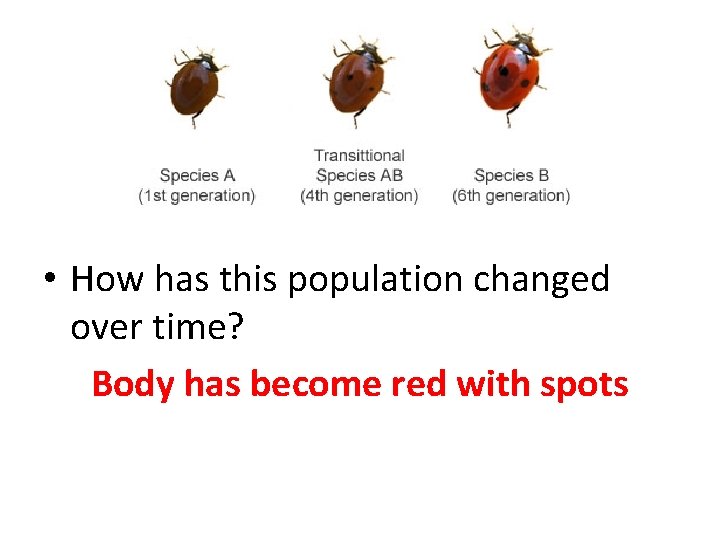  • How has this population changed over time? Body has become red with