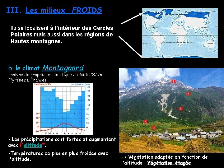 III. Les milieux FROIDS Ils se localisent à l’intérieur des Cercles Polaires mais aussi