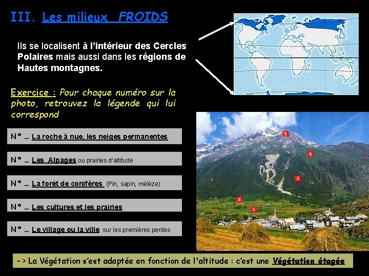 III. Les milieux FROIDS Ils se localisent à l’intérieur des Cercles Polaires mais aussi