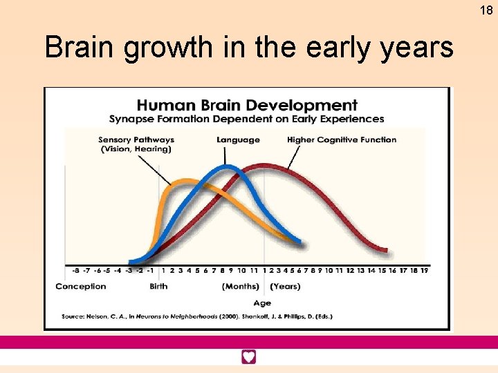 18 Brain growth in the early years 