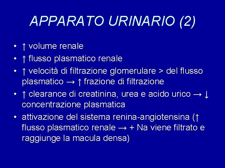 APPARATO URINARIO (2) • ↑ volume renale • ↑ flusso plasmatico renale • ↑