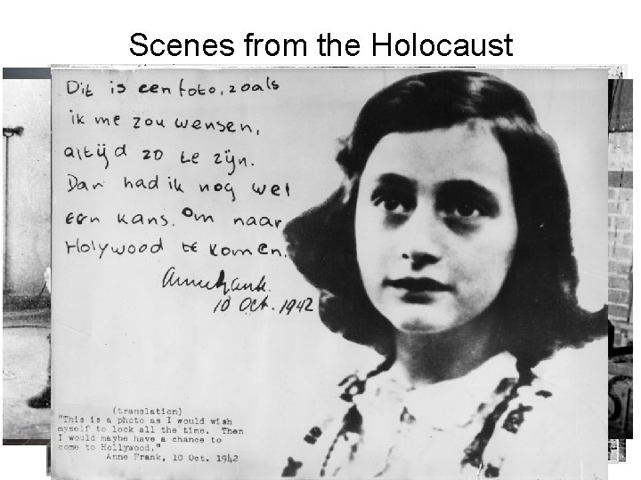 Scenes from the Holocaust 