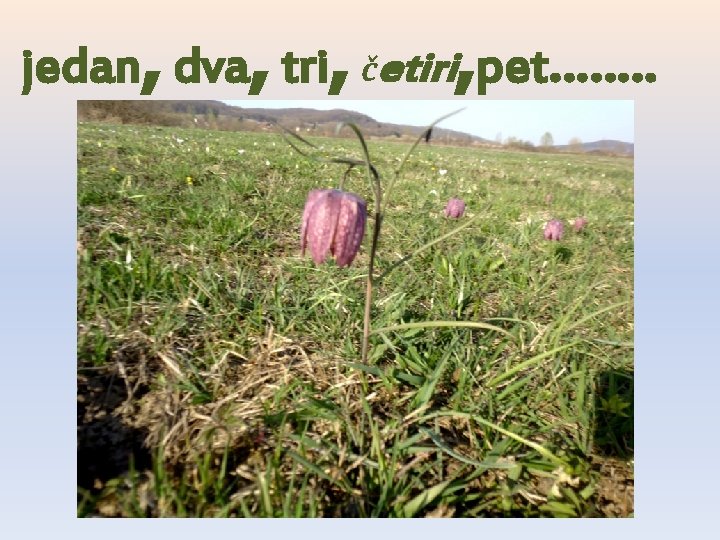 , , , , jedan dva tri četiri pet……. . 