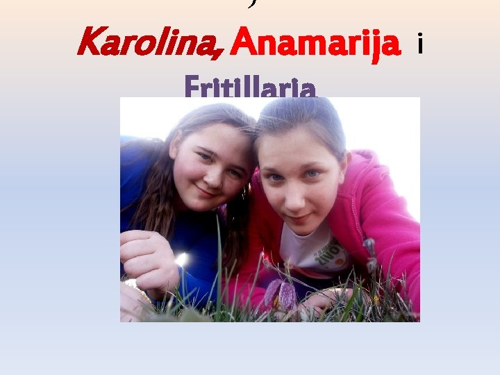 Tri cvjetića: Karolina, Anamarija i Fritillaria 