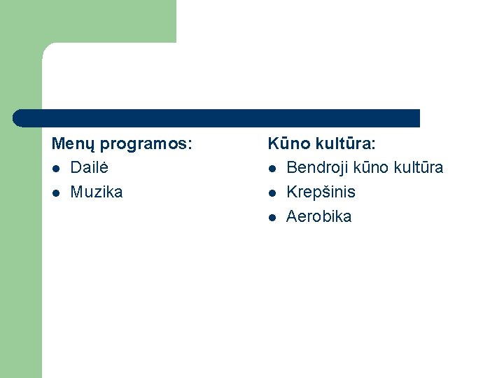 Menų programos: l Dailė l Muzika Kūno kultūra: l Bendroji kūno kultūra l Krepšinis