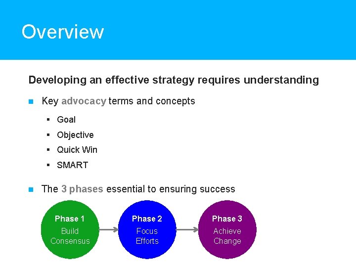 Overview Developing an effective strategy requires understanding Key advocacy terms and concepts § Goal