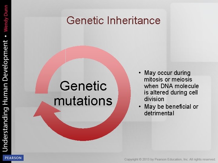 Genetic Inheritance Genetic mutations • May occur during mitosis or meiosis when DNA molecule