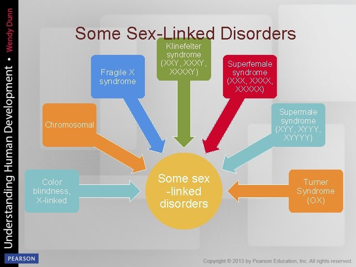 Some Sex-Linked Disorders Fragile X syndrome Klinefelter syndrome (XXY, XXXXY) Supermale syndrome (XYY, XYYYY)