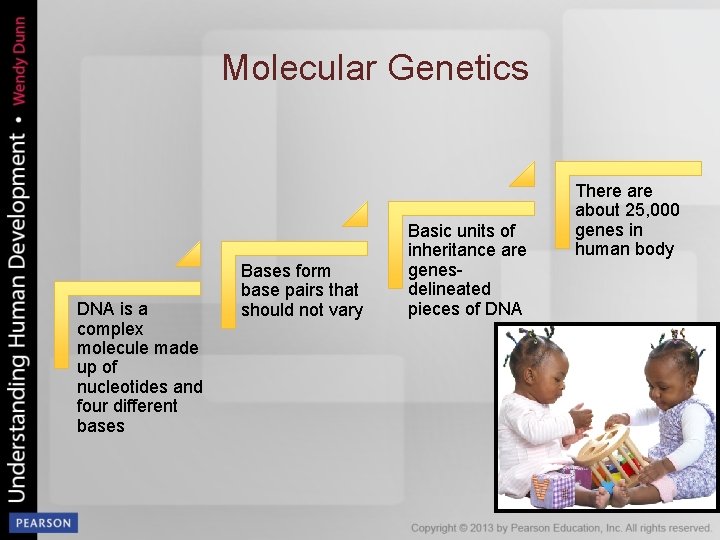 Molecular Genetics DNA is a complex molecule made up of nucleotides and four different