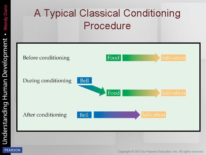 A Typical Classical Conditioning Procedure 