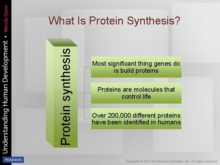 Protein synthesis What Is Protein Synthesis? Most significant thing genes do is build proteins