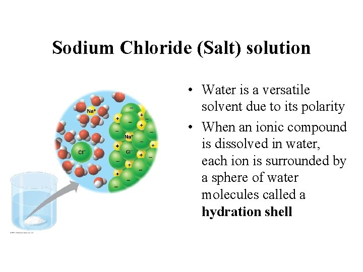 Sodium Chloride (Salt) solution • Water is a versatile solvent due to its polarity