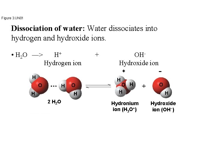 Figure 3. UN 01 Dissociation of water: Water dissociates into hydrogen and hydroxide ions.