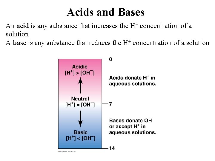 Acids and Bases An acid is any substance that increases the H+ concentration of