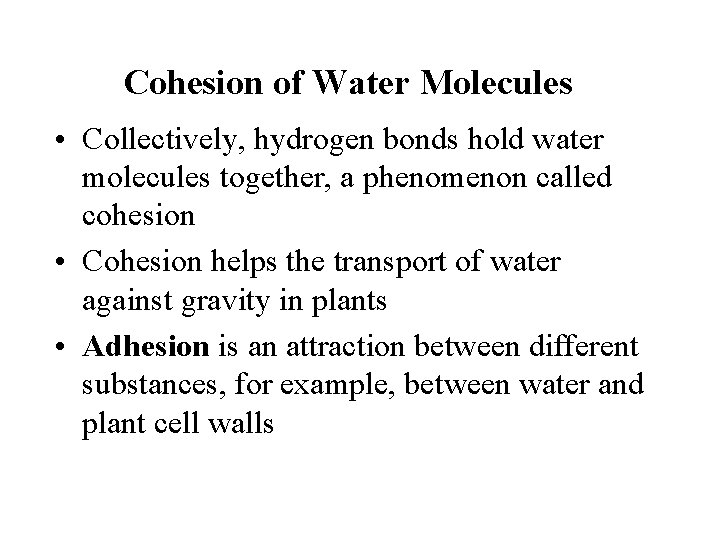 Cohesion of Water Molecules • Collectively, hydrogen bonds hold water molecules together, a phenomenon