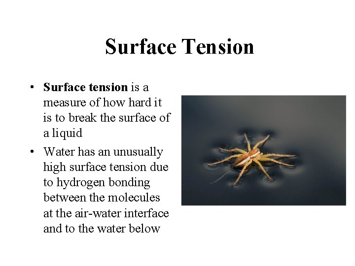 Surface Tension • Surface tension is a measure of how hard it is to