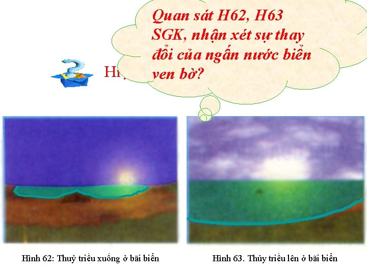 Quan sát H 62, H 63 SGK, nhận xét sự thay đổi của ngấn Quan sát H 62, H 63 SGK, nhận xét sự thay đổi của ngấn