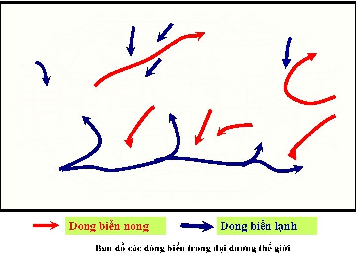 Dòng biển nóng Dòng biển lạnh Bản đồ các dòng biển trong đại dương Dòng biển nóng Dòng biển lạnh Bản đồ các dòng biển trong đại dương