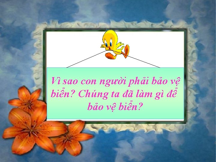 Vì sao con người phải bảo vệ biển? Chúng ta đã làm gì để Vì sao con người phải bảo vệ biển? Chúng ta đã làm gì để