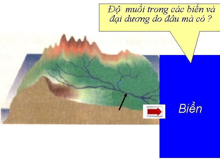 Độ muối trong các biển và đại dương do đâu mà có ? Biển Độ muối trong các biển và đại dương do đâu mà có ? Biển
