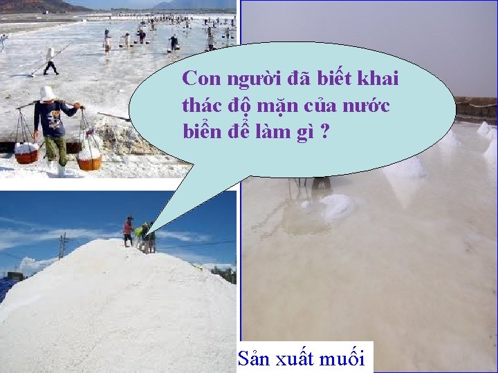 Con người đã biết khai thác độ mặn của nước biển để làm gì Con người đã biết khai thác độ mặn của nước biển để làm gì