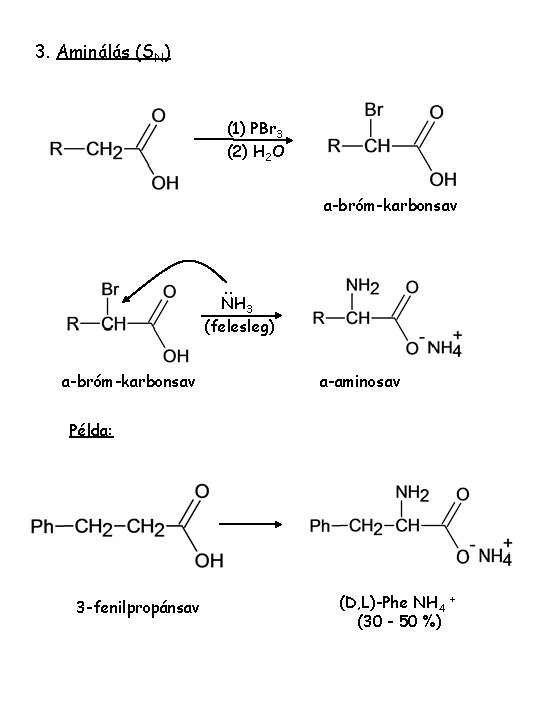 3. Aminálás (SN) (1) PBr 3 (2) H 2 O a-bróm-karbonsav . . NH